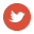 Twitter icon.